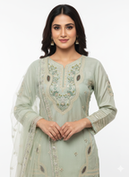 Traditional ladies suit with organza dupatta and zari work