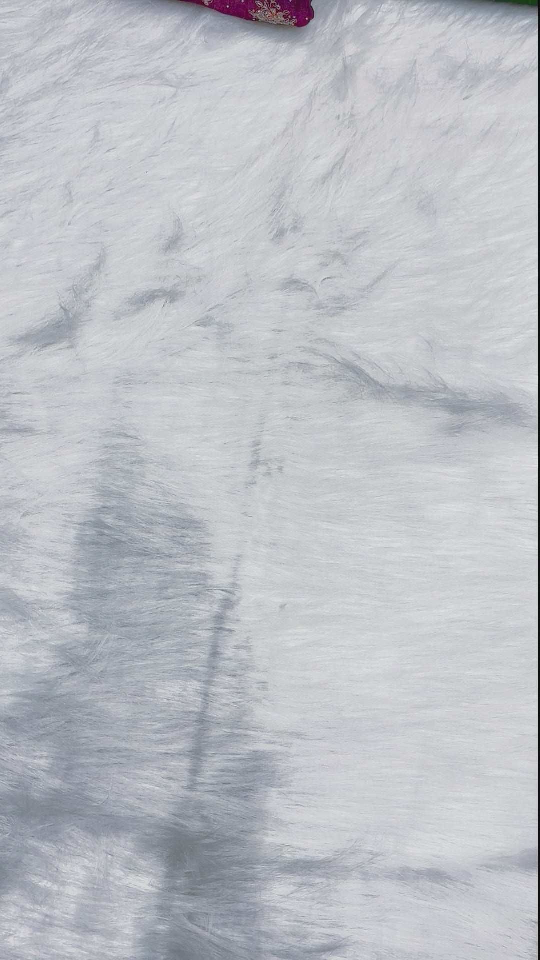 Fendy Fabric Readymade Sharara Suit with Contrast Work & Dupatta